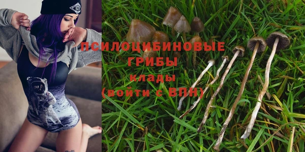 прущий лед Богородицк