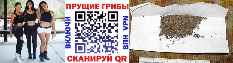 как найти наркотики  Бузулук  Галлюциногенные грибы Cubensis 